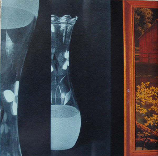 Lambchop : Nixon (CD, Album)