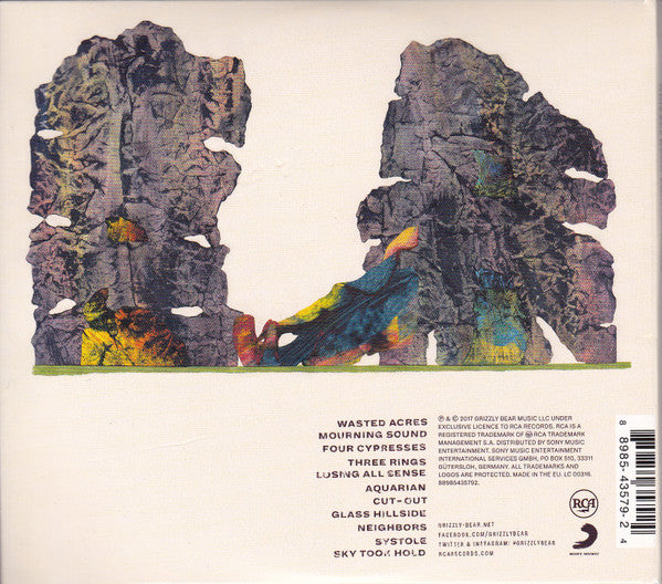 Grizzly Bear : Painted Ruins (CD, Album)