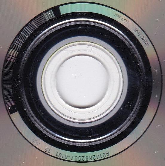 Grizzly Bear : Painted Ruins (CD, Album)