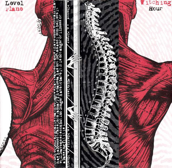 Usurp Synapse : In Examination Of (6")