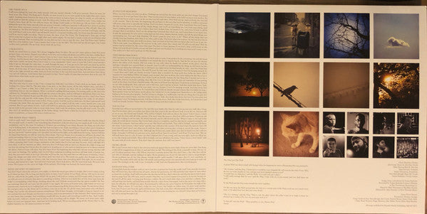 Streetlight Manifesto : The Hands That Thieve (LP, Album, RE)
