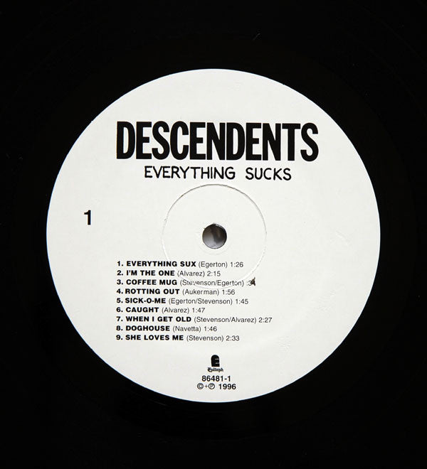 Descendents : Everything Sucks (LP, Album)