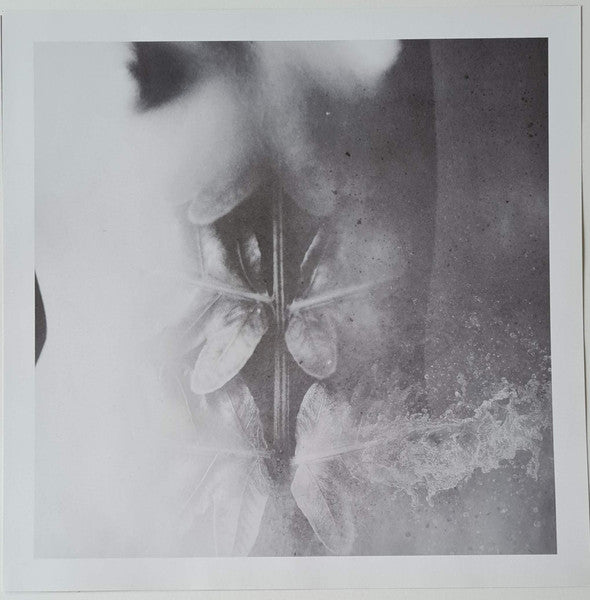 Astralia : Solstice (2xLP, Album, Ltd, Bla)