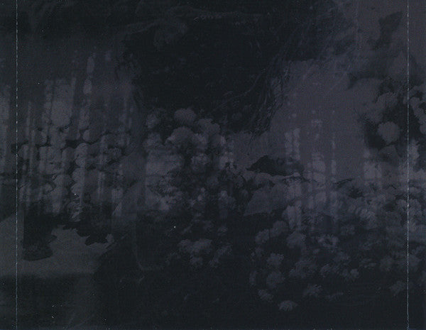 Carpathian Forest : The Fucking Evil Years (Box, Comp + CD, Album, RE + CD, Comp, RE + CD, Alb)