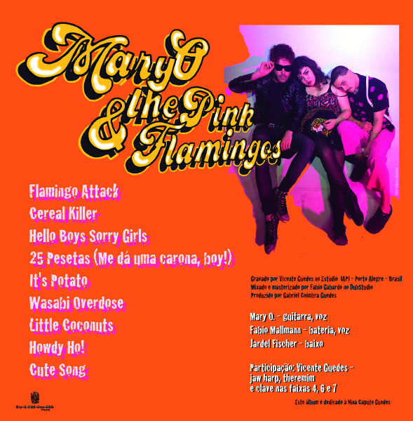The Dirty Coal Train / Mary O & The Pink Flamingos : The Dirty Coal Train / Mary O & The Pink Flamingos (LP)