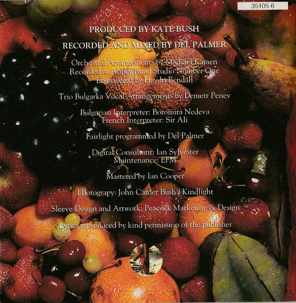 Kate Bush : The Red Shoes (CD, Album)