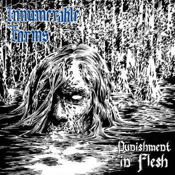 Innumerable Forms : Punishment In Flesh (CD, Album)