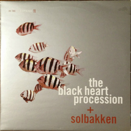 The Black Heart Procession + Solbakken : In The Fishtank 11 (LP, Album)