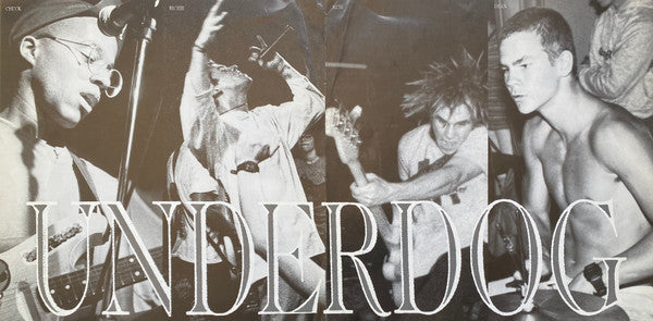 Underdog (2) : The Vanishing Point (LP, Album)