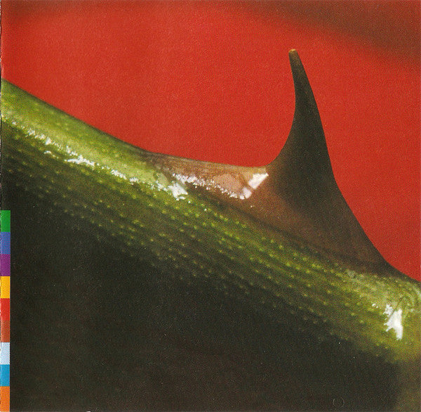 Nusrat Fateh Ali Khan & Michael Brook : Night Song (CD, Album)