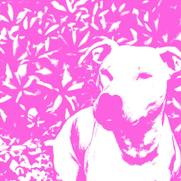 Jenna And The Pups, The HIRS Collective* : Split LP (12")