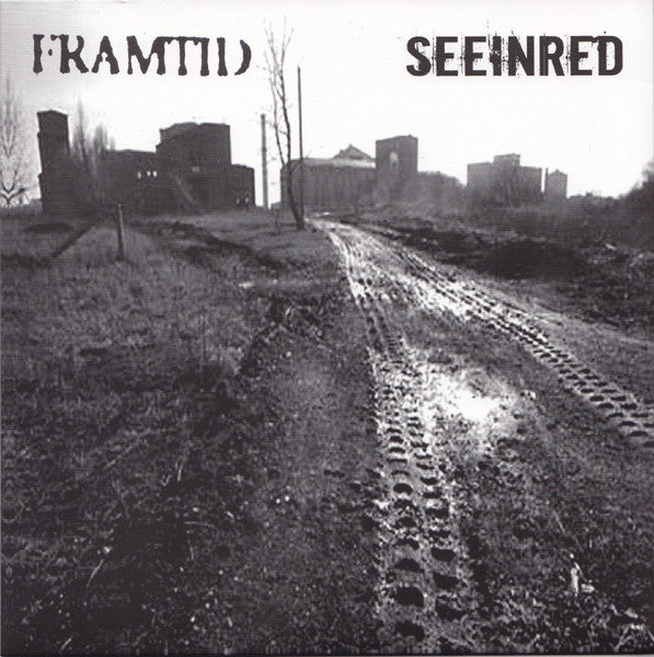 Framtid / Seeinred* : Framtid / Seeinred (7", EP)