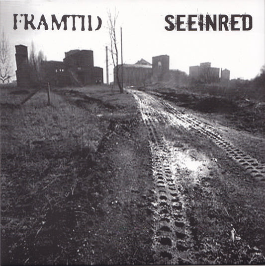 Framtid / Seeinred* : Framtid / Seeinred (7", EP)