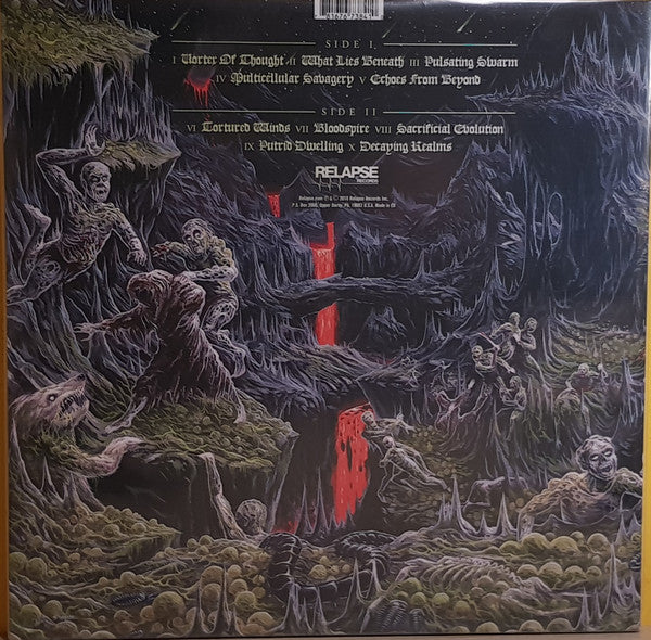 Outer Heaven (2) : Realms Of Eternal Decay (LP, Album)