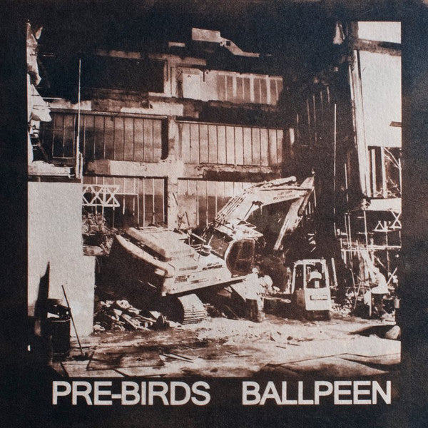 Pre-Birds / Ballpeen (2) : Pre-Birds / Ballpeen (7")