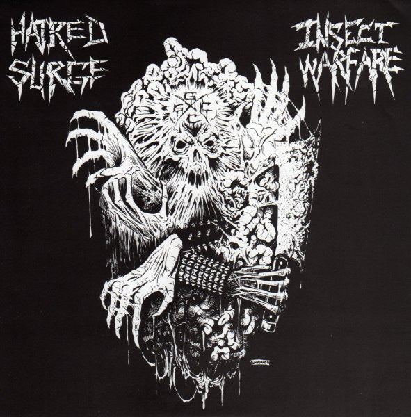 Insect Warfare / Hatred Surge : Insect Warfare / Hatred Surge (7")