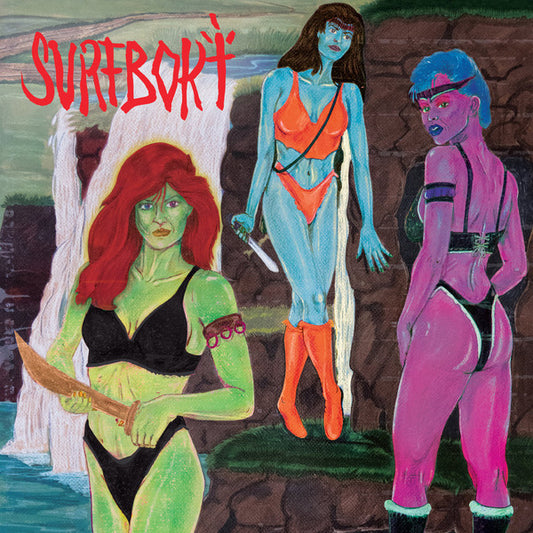 Surfbort : Friendship Music (CD, Album)