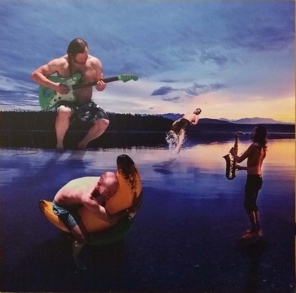 Constant Lovers : Pangs (LP, Album)