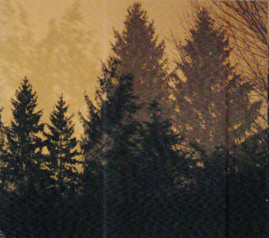 If These Trees Could Talk : Above The Earth, Below The Sky (CD, Album, RE, RP)