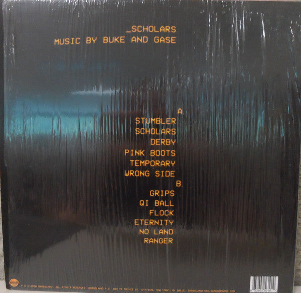 Buke And Gass : Scholars (LP)