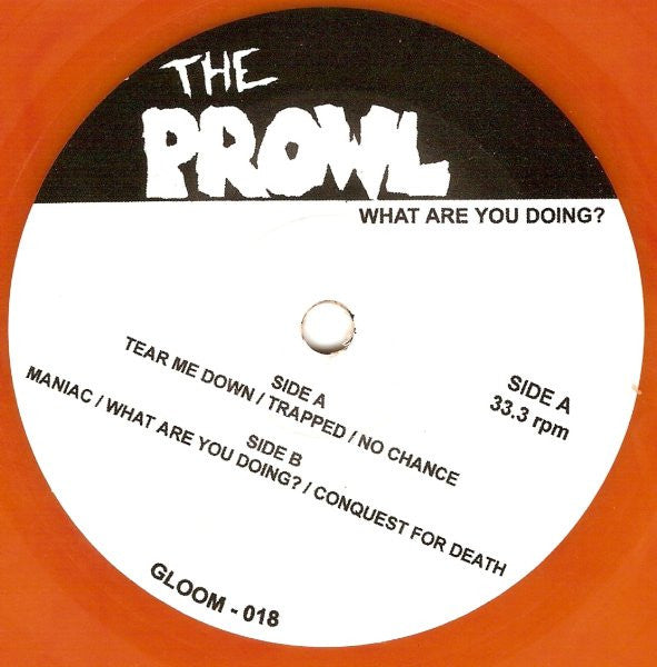 The Prowl : What Are You Doing? (7", Ora)