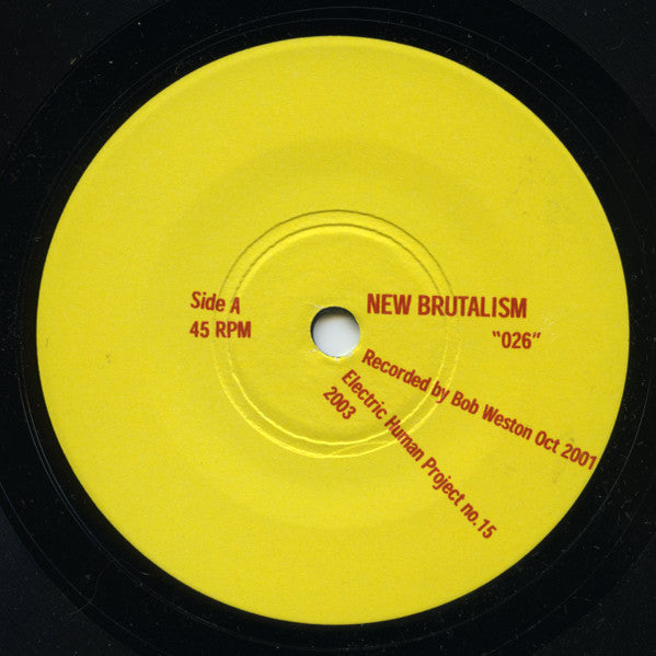 New Brutalism / Hit Self Destruct : New Brutalism / Hit Self Destruct (7")