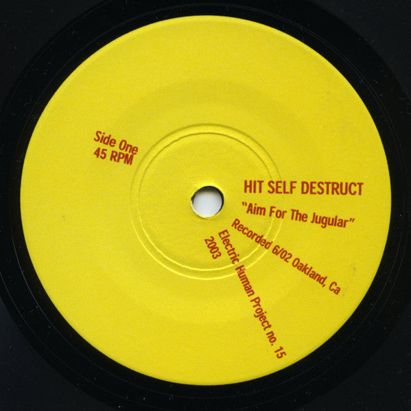 New Brutalism / Hit Self Destruct : New Brutalism / Hit Self Destruct (7")