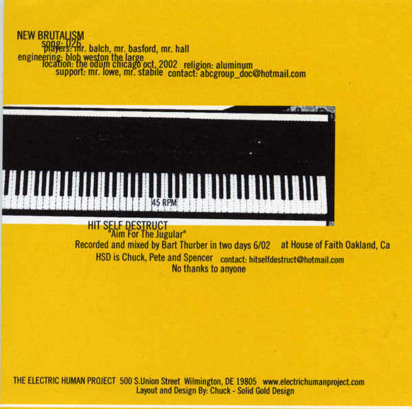 New Brutalism / Hit Self Destruct : New Brutalism / Hit Self Destruct (7")
