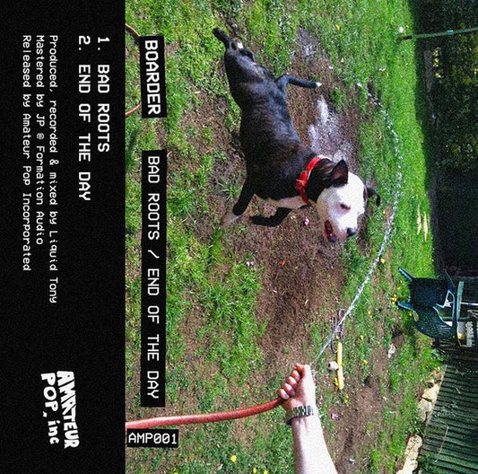 Boarder (2) : Bad Roots / End of The Day (Cass, Single)