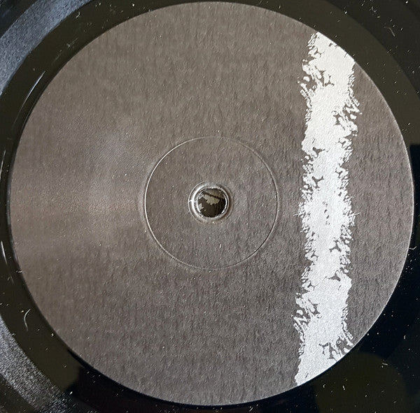 Envy (2) : All The Footprints You've Ever Left And The Fear Expecting Ahead (LP, Album)