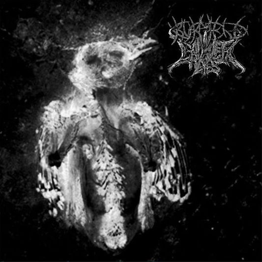 Burmese / Cadaver Eyes : Split (CD, Album)