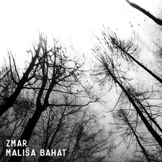 Zmar / Mališa Bahat : Zmar / Mališa Bahat (7", Ltd)