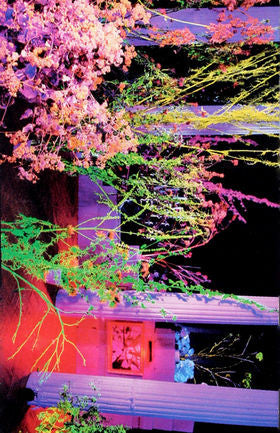 Hüsker Dü : Warehouse: Songs And Stories (Cass, Album, AR)