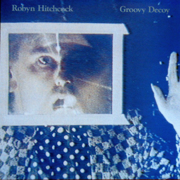 Robyn Hitchcock : Groovy Decoy (LP, Album)