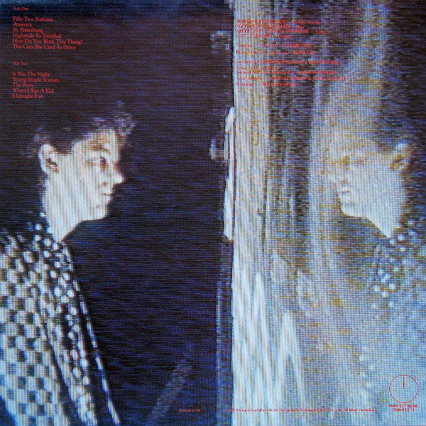 Robyn Hitchcock : Groovy Decoy (LP, Album)
