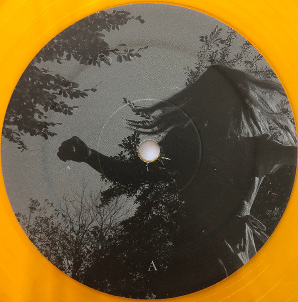 Brian Fallon (2) : Local Honey (LP, Album, Ora)