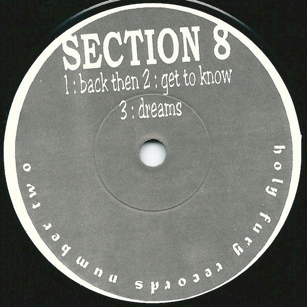 Outlast / Section 8 (2) : Outlast / Section 8 (7")