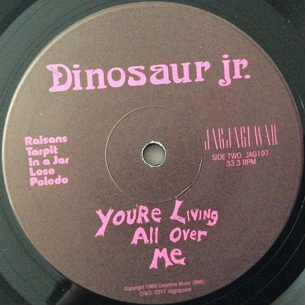 Dinosaur Jr. : You're Living All Over Me (LP, Album, RE)