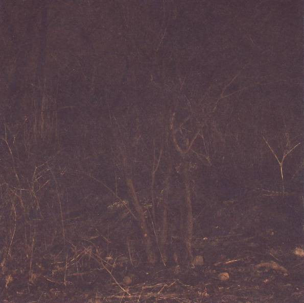 Kongh : Counting Heartbeats (CD, Album, Promo)