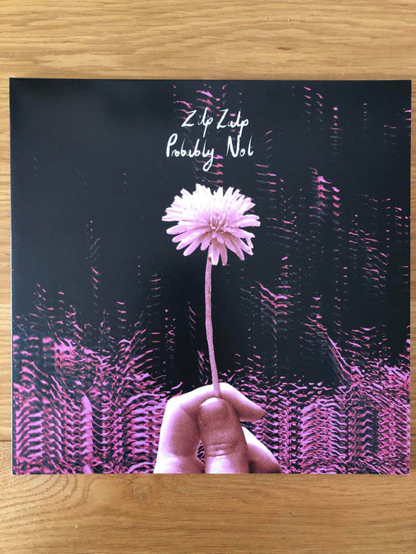 ZilpZalp, Probably Not : ZilpZalp/Probably Not (LP, Album, Pin)
