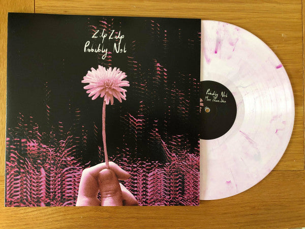 ZilpZalp, Probably Not : ZilpZalp/Probably Not (LP, Album, Pin)