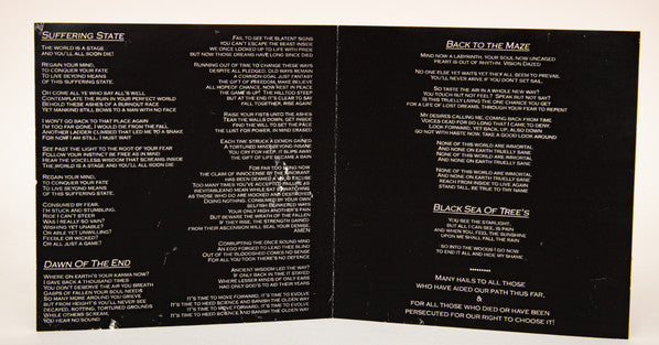 Dystopian Wrath : Dystopian Wrath (CD, EP)