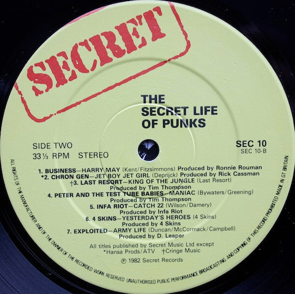 Various : The Secret Life Of Punks (LP, Comp)