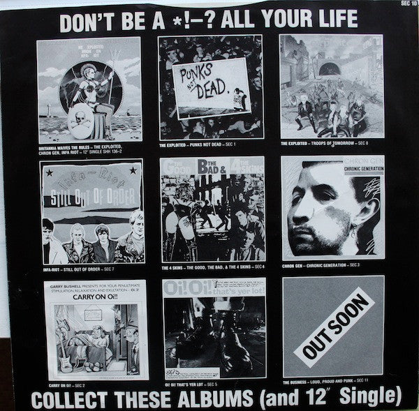 Various : The Secret Life Of Punks (LP, Comp)