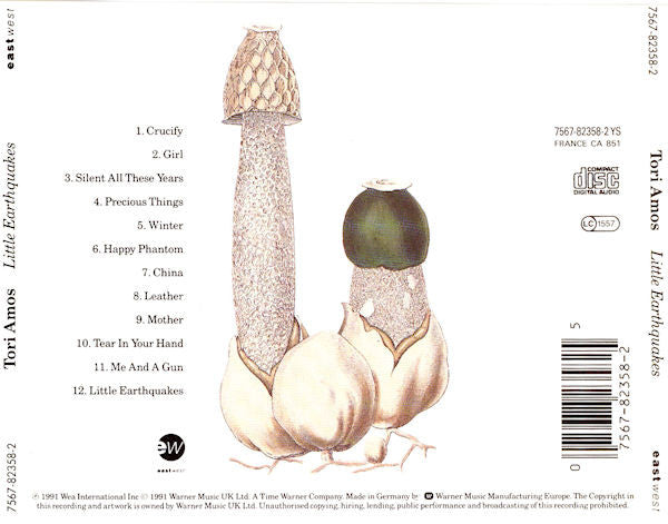Tori Amos : Little Earthquakes (CD, Album)