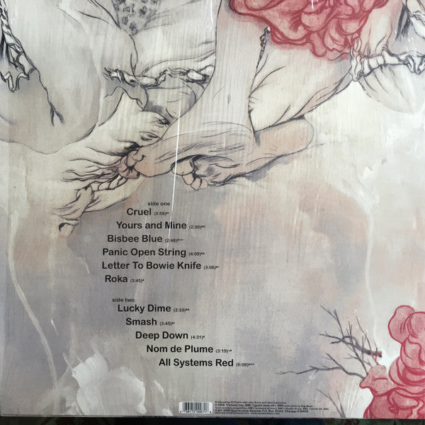 Calexico : Garden Ruin (LP, Album, Ltd)