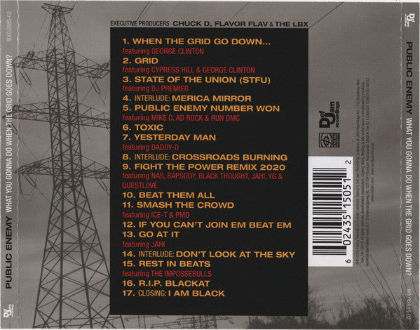 Public Enemy : What You Gonna Do When The Grid Goes Down? (CD, Album)