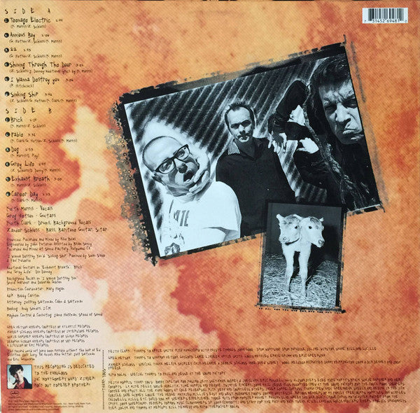 Circle Jerks : Oddities, Abnormalities And Curiosities (LP, Album)