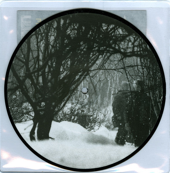 AFI : Love Like Winter (7", Single, Pic)