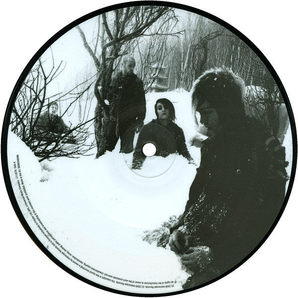 AFI : Love Like Winter (7", Single, Pic)